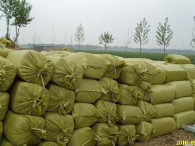 ţ�Ϯa(ch��n)Ʒ2